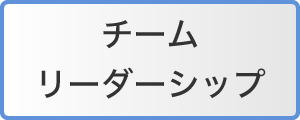 チームリーダーシップ