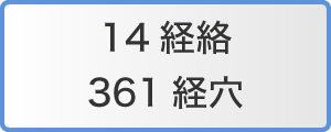 14経絡と361経穴