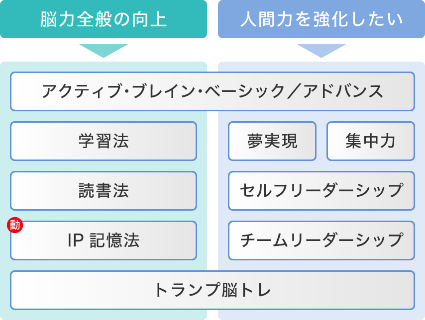 脳力全般の向上 人間力を強化したい